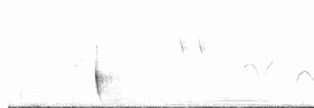 Gray Wren-Warbler - ML452709371