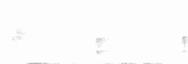 strakapoud bělohřbetý - ML452749461