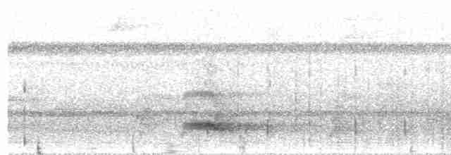 Channel-billed Toucan (Channel-billed) - ML452770611