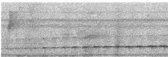 Серый тиранн-плакса - ML452794521