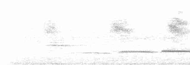 Филиппинская дронговая кукушка - ML452800651