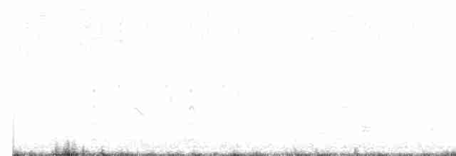svartkronestylteløper (mexicanus) - ML452845331