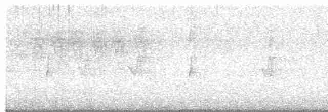 ネズミメジロハエトリ - ML452862991