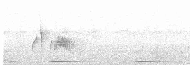 tyranovec vrbový - ML452867401