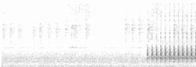 strakapoud americký [skupina villosus] - ML452909671