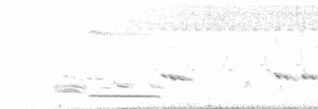 Pheasant-tailed Jacana - ML453048371
