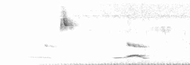 Pheasant-tailed Jacana - ML453048401