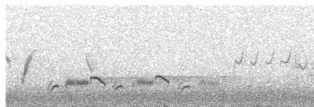 Eastern Orphean Warbler - ML453049121
