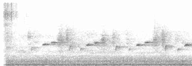 Віялохвістка північна (підвид isura) - ML453051221
