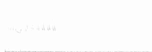 lesňáček modropláštíkový - ML453069231