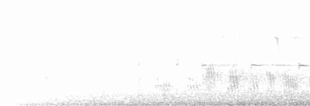 Büyük Mor Kırlangıç - ML453155521