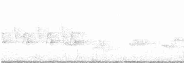 Kara Kanatlı Piranga - ML453212591