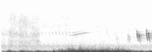Kirtland's Warbler - ML453221531