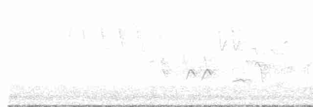 tyranovec vrbový - ML453348511