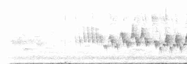 Ev Çıtkuşu [aedon grubu] - ML453349141
