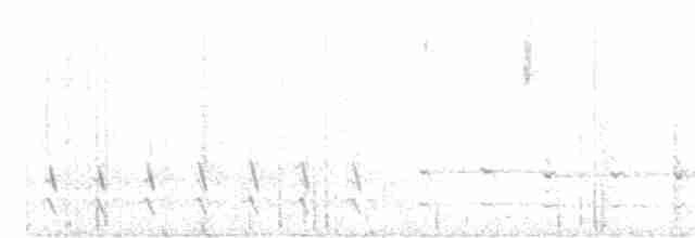 Agachadiza de Wilson - ML453403561