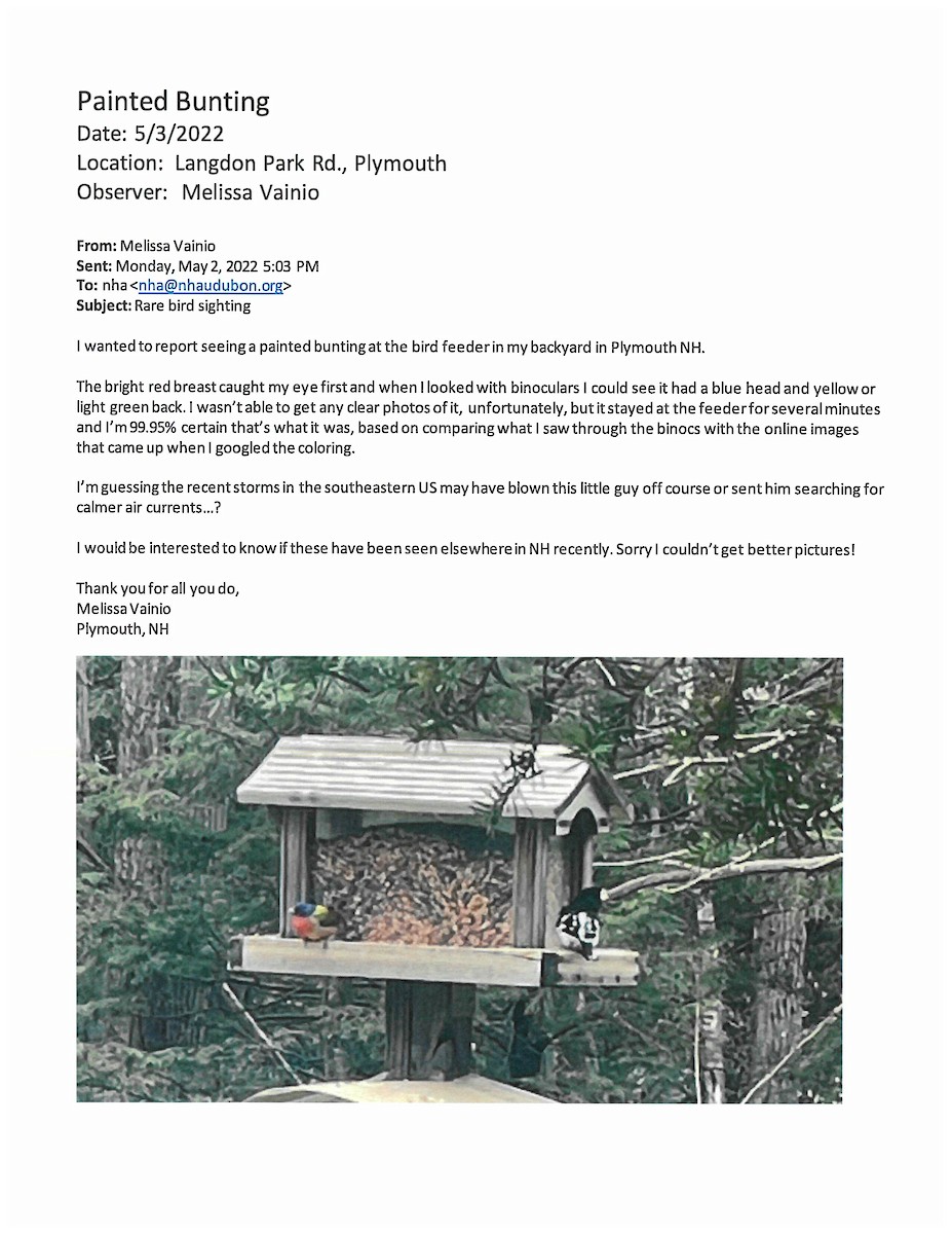 New Hampshire eBird Checklist - 3 May 2022 - Langdon Park Rd., Plymouth
