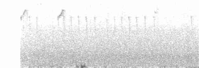 Arika Çölyıldızı - ML45359211