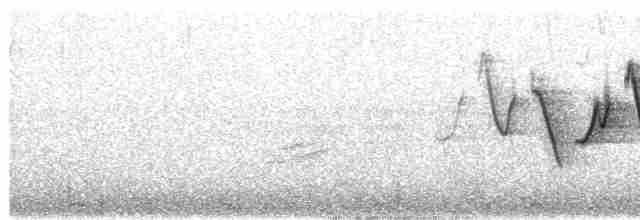 Common Yellowthroat - ML453599241