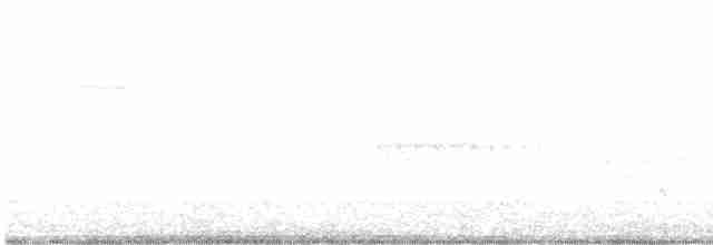Cerulean Warbler - ML453764491