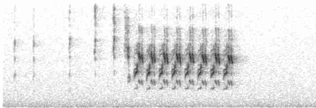 Травяной крапивник [группа elegans] - ML453949021