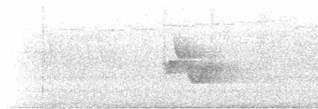 Kentucky Warbler - ML454116061