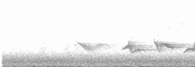 Чернокрылая пиранга - ML454311161