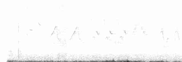 Cerulean Warbler - ML454357651