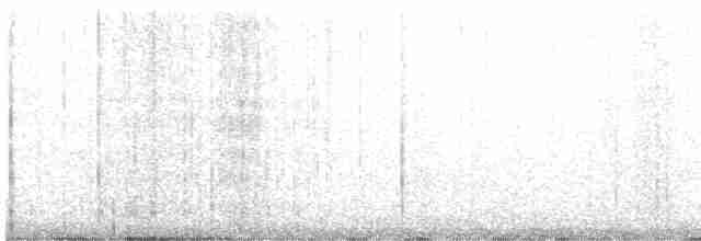 Grass Wren (Northern) - ML454378491