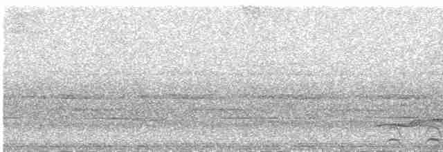 Lattice-tailed Trogon - ML454456681