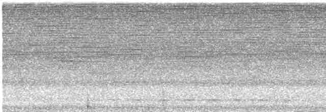 Lattice-tailed Trogon - ML454457011