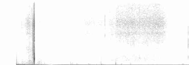 Black-throated Gray Warbler - ML454755821