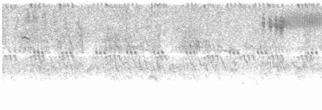 Кузнечиковая овсянка-барсучок - ML454849161