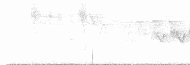 Cerulean Warbler - ML454884731