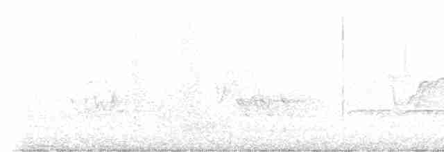 Cerulean Warbler - ML454946951