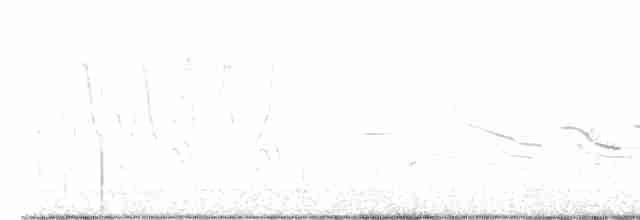 Field Sparrow - ML455036781