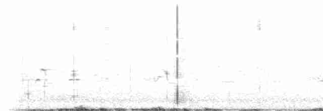 Graumantel-Brillenvogel - ML455128311