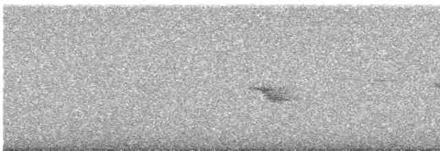 Дрізд-короткодзьоб канадський - ML455178891