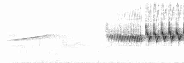 Cerulean Warbler - ML455179961