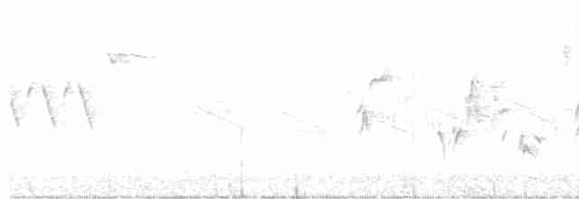 Кропив’янка чорноголова - ML455194721