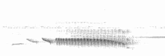 Fahlbauch-Ameisenfänger - ML455229891
