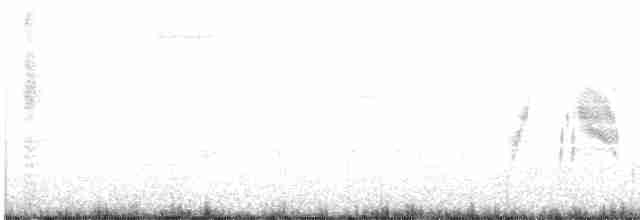 Weidenschnäppertyrann - ML455301931