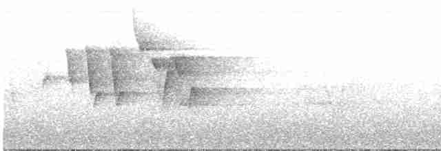 Canada Warbler - ML455305971