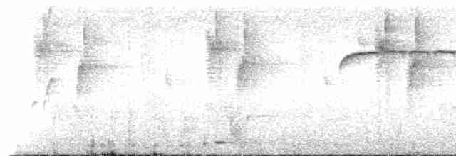 Kestane Alınlı Küçük Tiran - ML455422401