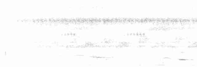 Kara Boğazlı Çalı Timalyası - ML455458021