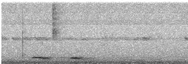 Кукушечья иглоногая сова - ML455478991