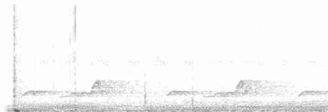 Schwarzkehl-Nachtschwalbe - ML455491481