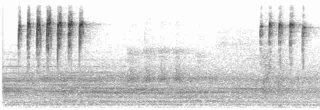 svarthodefluesnapper - ML455506041