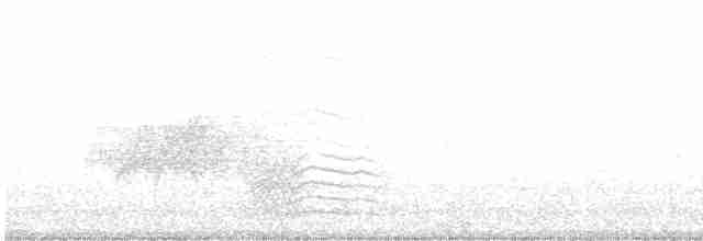 Белогорлая зонотрихия - ML455537961