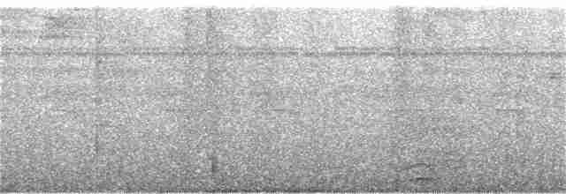 Lattice-tailed Trogon - ML45563121